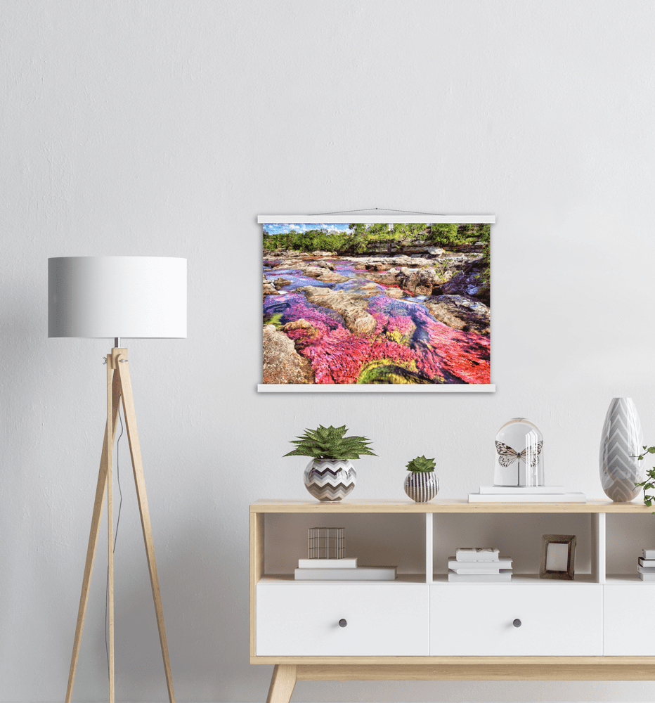 Roter Fluss Kolumbien - Printree.ch baum, einfachschweizer, erstaunliche landschaft, erstaunliche natur, exklusiv, fabelhaft, farbe, farben, fluss, Foto, Fotografie, fünf farben fluss, grün, hintergründe, kaskade, kaskaden, katalonien, kolumbien, llanos, macarena, meta, natur, naturalisieren, pflanzen, Poster, regenbogen fluss, Reisen, rosa, rot, schlucht, see, stausee, Südamerika, tierra, tälern, vida