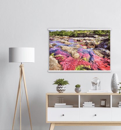 Roter Fluss Kolumbien - Printree.ch baum, einfachschweizer, erstaunliche landschaft, erstaunliche natur, exklusiv, fabelhaft, farbe, farben, fluss, Foto, Fotografie, fünf farben fluss, grün, hintergründe, kaskade, kaskaden, katalonien, kolumbien, llanos, macarena, meta, natur, naturalisieren, pflanzen, Poster, regenbogen fluss, Reisen, rosa, rot, schlucht, see, stausee, Südamerika, tierra, tälern, vida