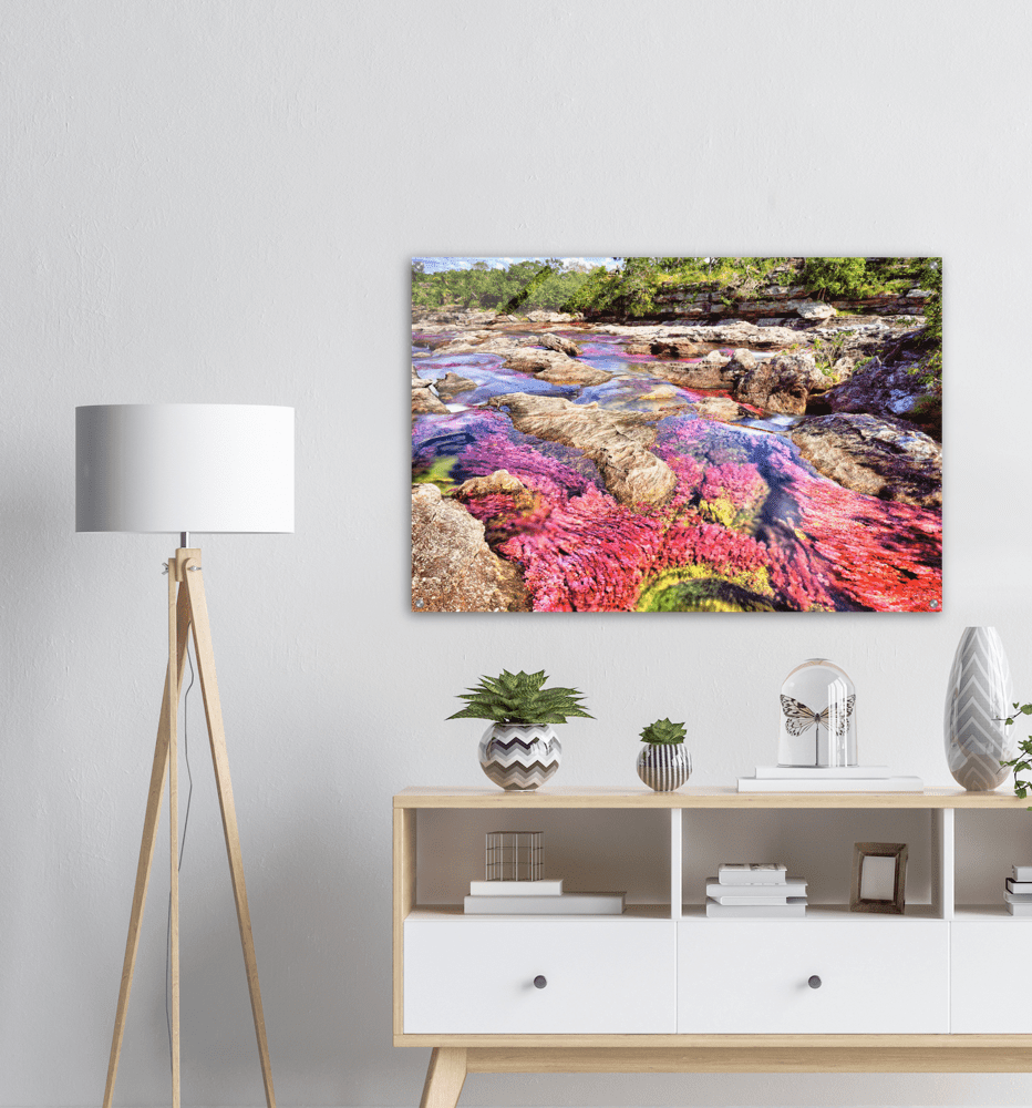 Roter Fluss Kolumbien - Printree.ch baum, einfachschweizer, erstaunliche landschaft, erstaunliche natur, exklusiv, fabelhaft, farbe, farben, fluss, Foto, Fotografie, fünf farben fluss, grün, hintergründe, kaskade, kaskaden, katalonien, kolumbien, llanos, macarena, meta, natur, naturalisieren, pflanzen, Poster, regenbogen fluss, Reisen, rosa, rot, schlucht, see, stausee, Südamerika, tierra, tälern, vida