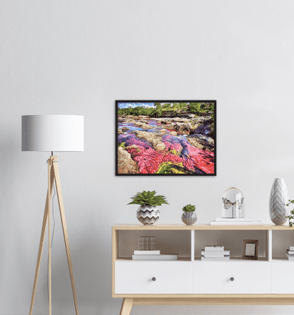 Roter Fluss Kolumbien - Printree.ch baum, einfachschweizer, erstaunliche landschaft, erstaunliche natur, exklusiv, fabelhaft, farbe, farben, fluss, Foto, Fotografie, fünf farben fluss, grün, hintergründe, kaskade, kaskaden, katalonien, kolumbien, llanos, macarena, meta, natur, naturalisieren, pflanzen, Poster, regenbogen fluss, Reisen, rosa, rot, schlucht, see, stausee, Südamerika, tierra, tälern, vida