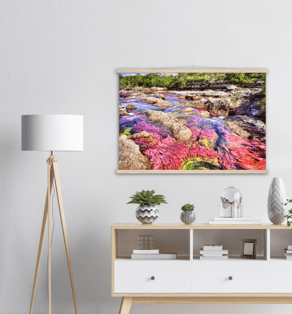 Roter Fluss Kolumbien - Printree.ch baum, einfachschweizer, erstaunliche landschaft, erstaunliche natur, exklusiv, fabelhaft, farbe, farben, fluss, Foto, Fotografie, fünf farben fluss, grün, hintergründe, kaskade, kaskaden, katalonien, kolumbien, llanos, macarena, meta, natur, naturalisieren, pflanzen, Poster, regenbogen fluss, Reisen, rosa, rot, schlucht, see, stausee, Südamerika, tierra, tälern, vida