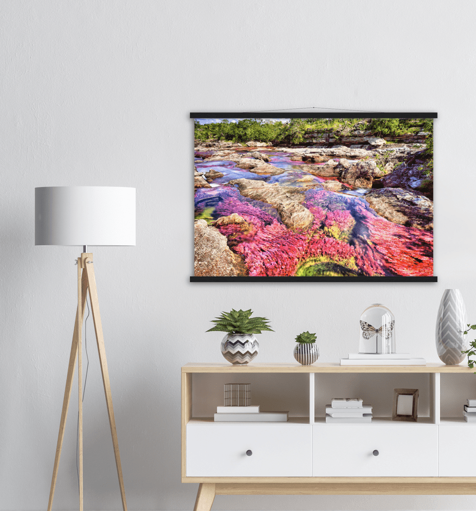 Roter Fluss Kolumbien - Printree.ch baum, einfachschweizer, erstaunliche landschaft, erstaunliche natur, exklusiv, fabelhaft, farbe, farben, fluss, Foto, Fotografie, fünf farben fluss, grün, hintergründe, kaskade, kaskaden, katalonien, kolumbien, llanos, macarena, meta, natur, naturalisieren, pflanzen, Poster, regenbogen fluss, Reisen, rosa, rot, schlucht, see, stausee, Südamerika, tierra, tälern, vida