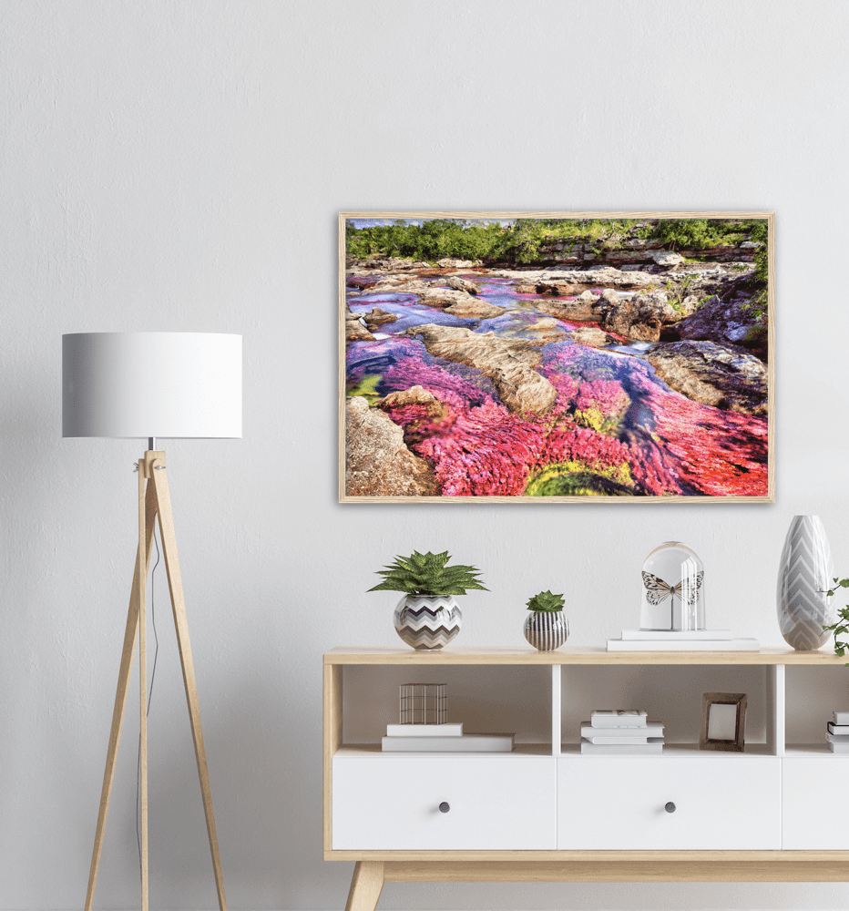 Roter Fluss Kolumbien - Printree.ch baum, einfachschweizer, erstaunliche landschaft, erstaunliche natur, exklusiv, fabelhaft, farbe, farben, fluss, Foto, Fotografie, fünf farben fluss, grün, hintergründe, kaskade, kaskaden, katalonien, kolumbien, llanos, macarena, meta, natur, naturalisieren, pflanzen, Poster, regenbogen fluss, Reisen, rosa, rot, schlucht, see, stausee, Südamerika, tierra, tälern, vida