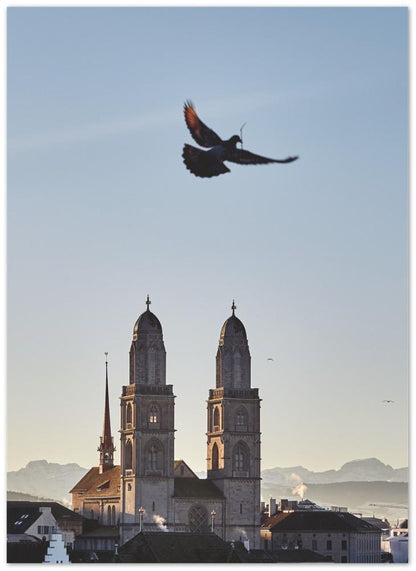 Taube Zürich - Printree.ch alt, altstadt, berühmt, blick, dämmerung, eifach-züri, einfachschweizer, europa, exklusiv, fluss, Foto, Fotografie, gebäude, Grossmünster, himmel, historisch, kathedrale, kirche, landschaft, limmat, panorama, Poster, reflexion, reisen, religion, Schweiz, schweizer, stadt, stadtbild, tourismus, turm, wahrzeichen, wasser, ziel, zurichby.ch, Zürich