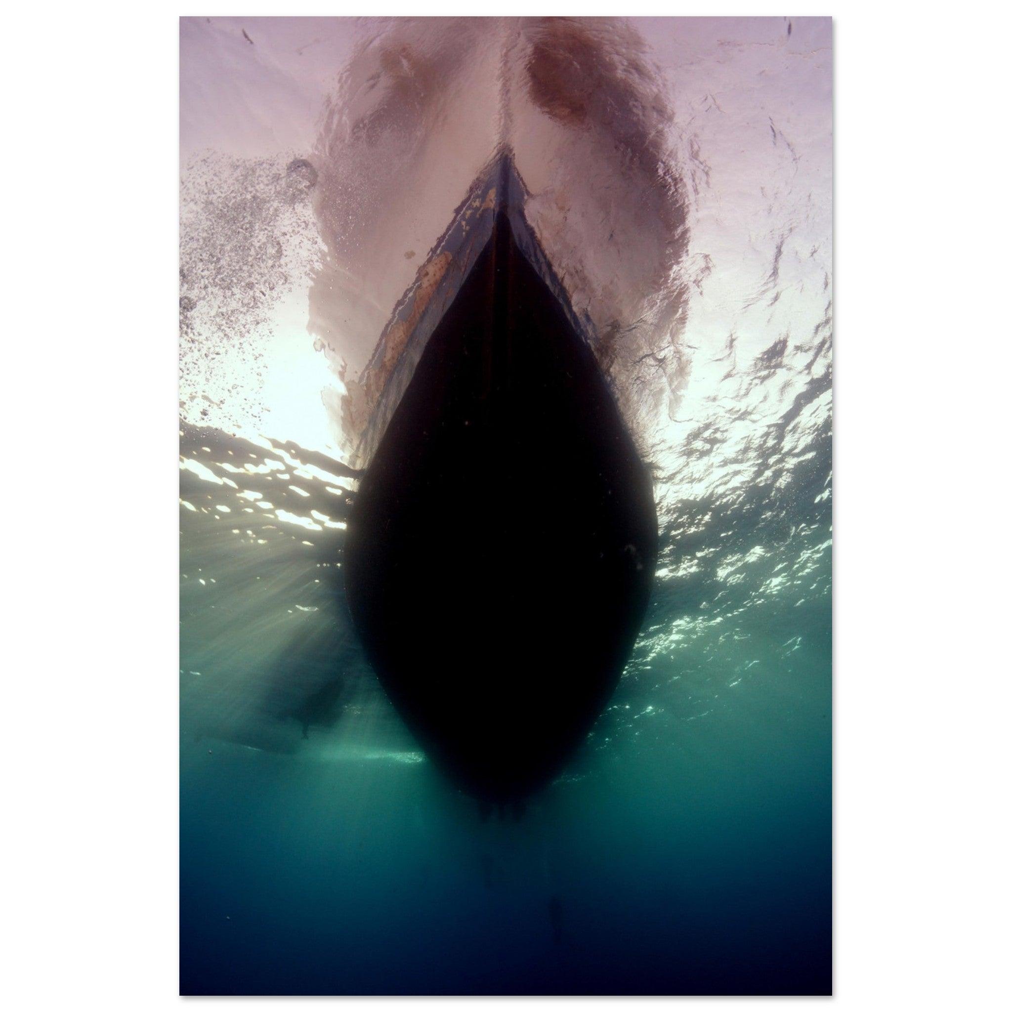 Unter dem Boot - Marsa Alam, Ägypten - Printree.ch Fisch, Foto, Fotografie, meer, Meereslandschaft, ozean, SABRINA SIGNER, Unterwasserwelt