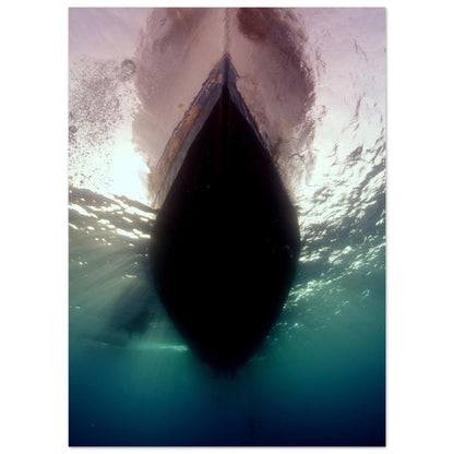 Unter dem Boot - Marsa Alam, Ägypten - Printree.ch Fisch, Foto, Fotografie, meer, Meereslandschaft, ozean, SABRINA SIGNER, Unterwasserwelt