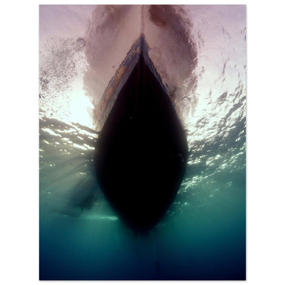 Unter dem Boot - Marsa Alam, Ägypten - Printree.ch Fisch, Foto, Fotografie, meer, Meereslandschaft, ozean, SABRINA SIGNER, Unterwasserwelt