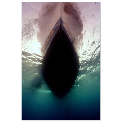 Unter dem Boot - Marsa Alam, Ägypten - Printree.ch Fisch, Foto, Fotografie, meer, Meereslandschaft, ozean, SABRINA SIGNER, Unterwasserwelt