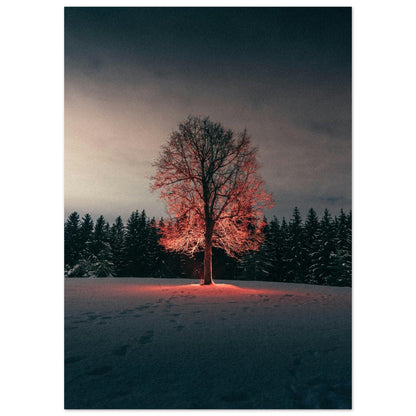 Winterglut - Printree.ch Natur, Unsplash