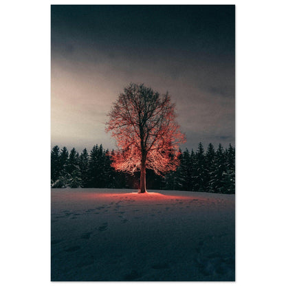 Winterglut - Printree.ch Natur, Unsplash