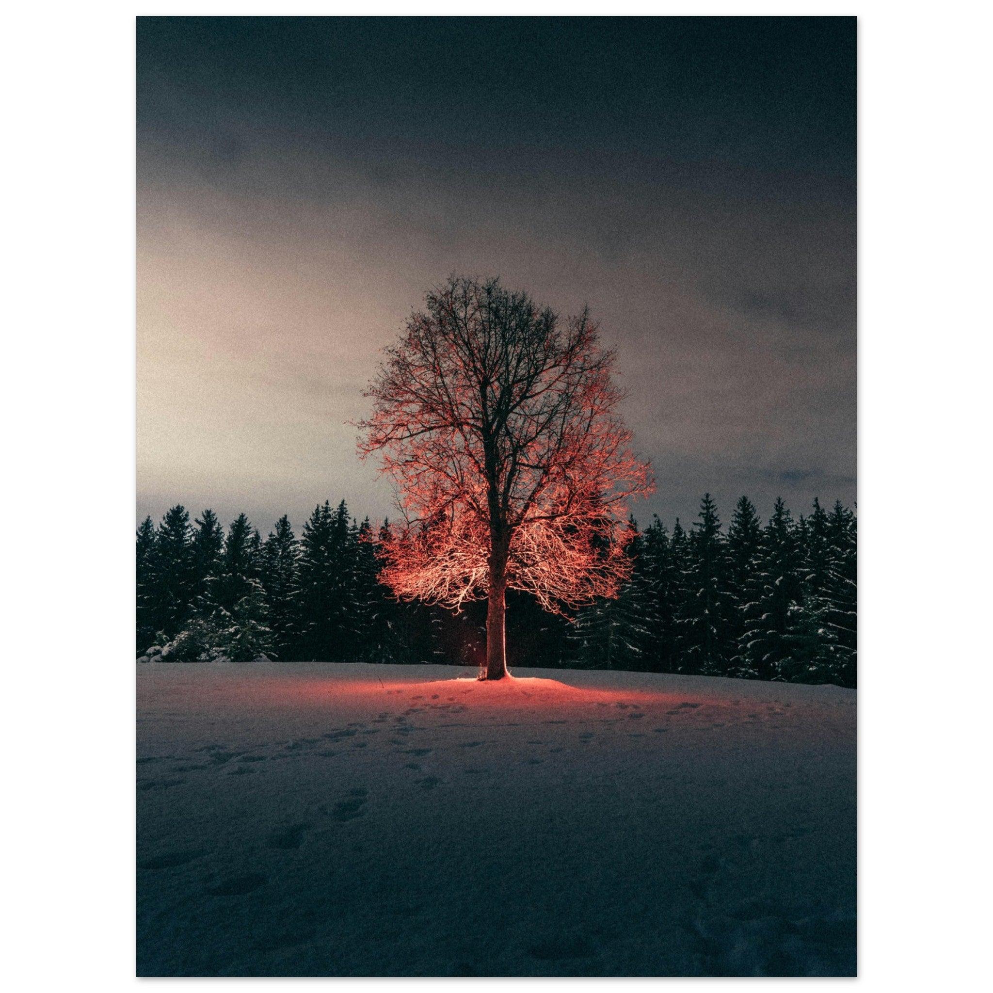 Winterglut - Printree.ch Natur, Unsplash