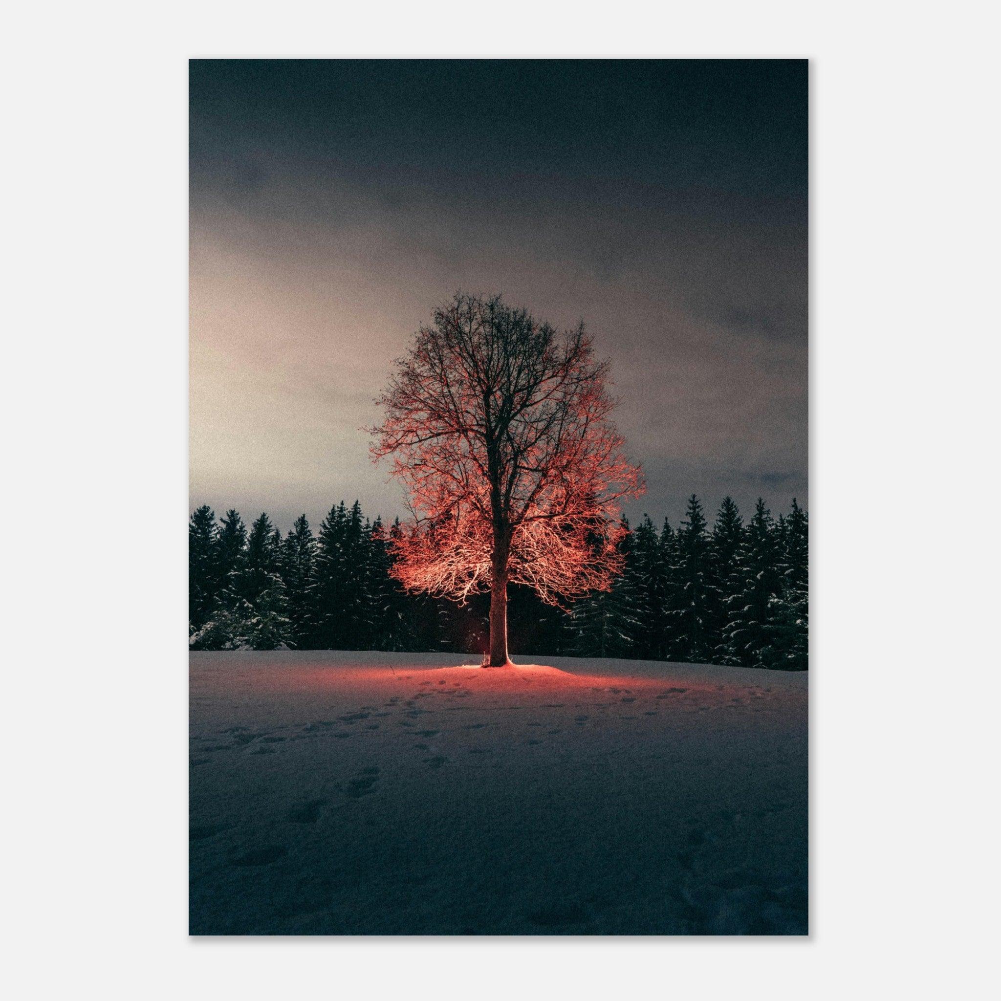 Winterglut - Printree.ch Natur, Unsplash