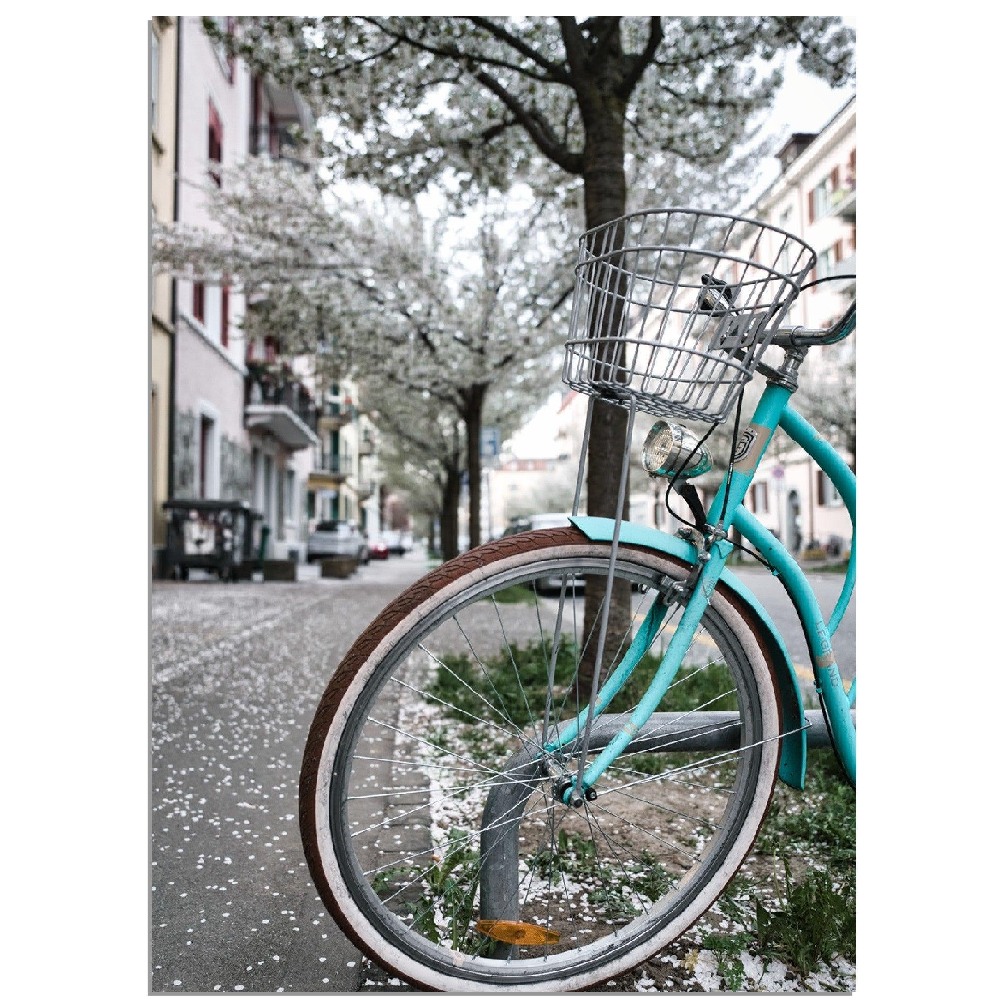 Zürichs Frühling Velo Gefühle - Printree.ch alt, architektur, blau, blick, brücke, eifach-züri, europa, europäisch, fluss, gebäude, grossmünster, innenstadt, kathedrale, kirche, limmat, panorama, reisen, schweiz, schweizer, see, skyline, stadt, stadtbild, strasse, tourismus, turm, urban, wahrzeichen, zürich