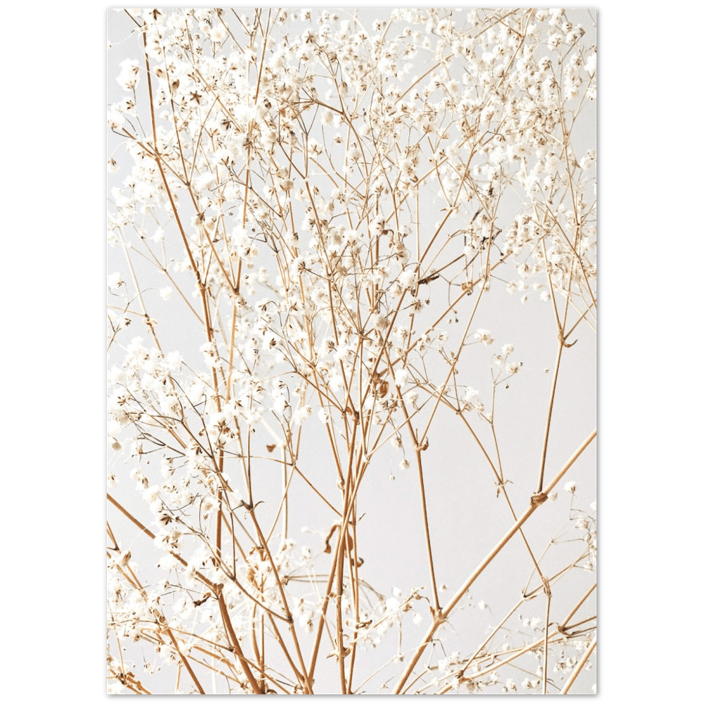 branches