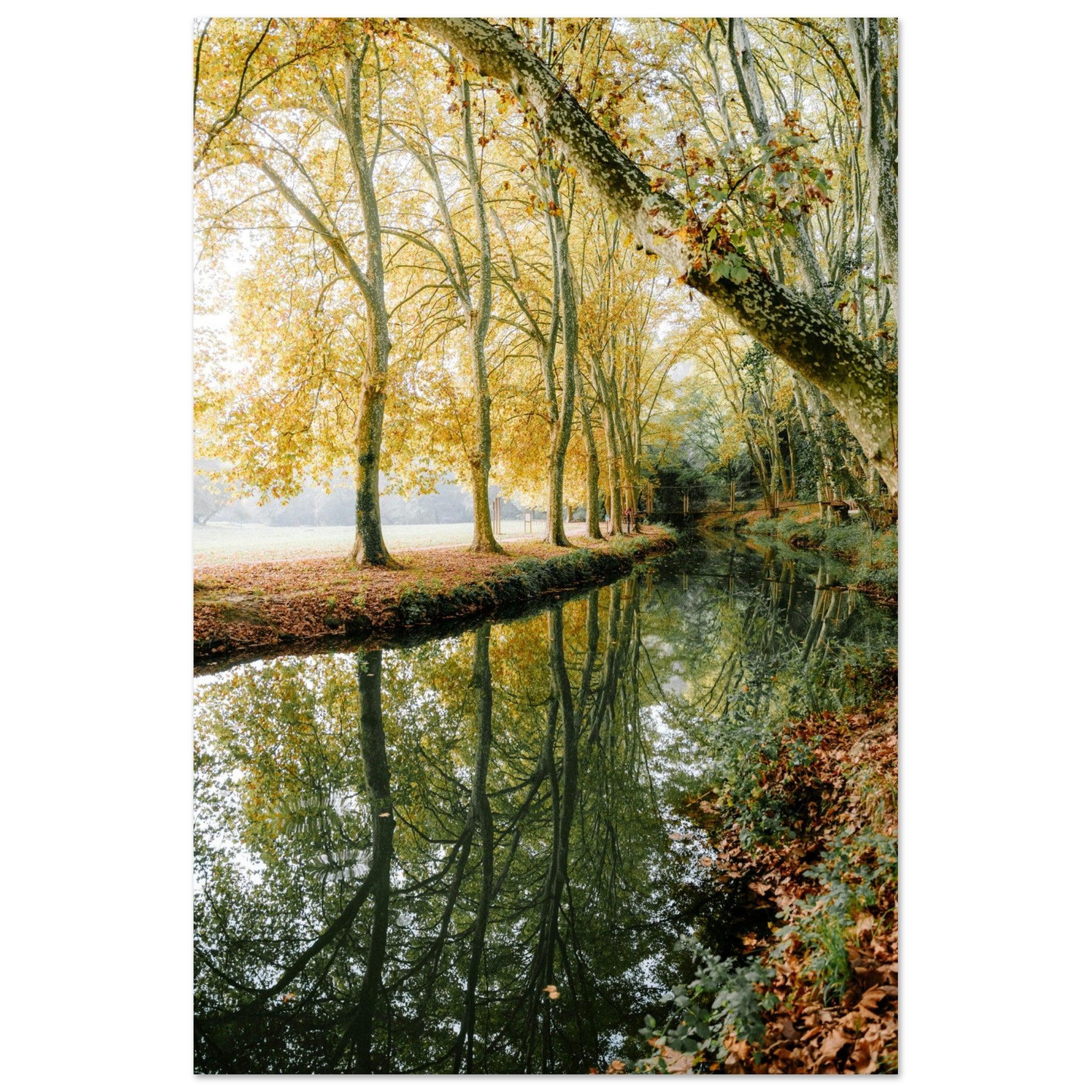 Zwielicht am Uzès-Strand - Printree.ch Natur, Unsplash