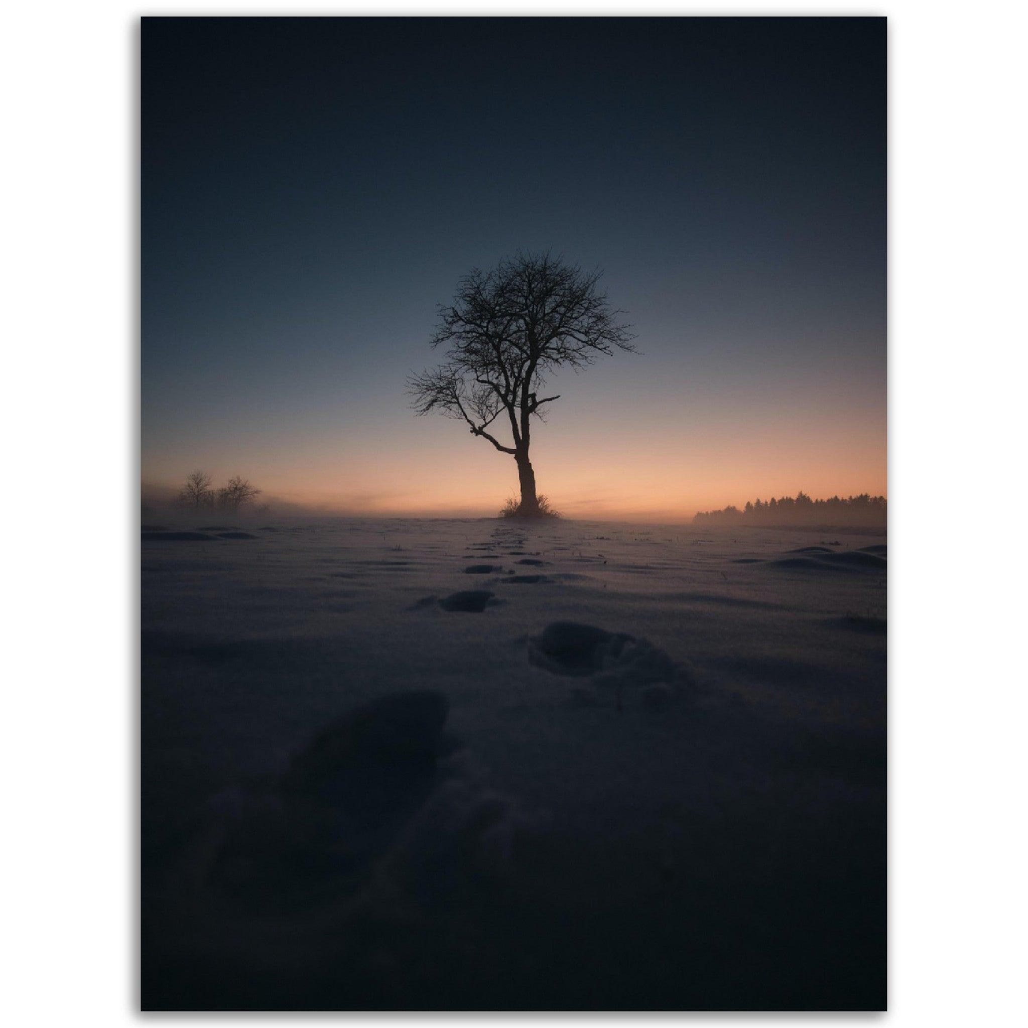 Baum im Schnee - Printree.ch auf dem Lande, Aussicht, Baum, Feld, Foto, Fotografie, Frost, Gras, Himmel, Hintergrund, im Freien, Jahreszeit, Kälte, Landschaft, Licht, ländlich, Morgen, Morgendämmerung, Natur, natürlich, reise, Reisen, Schnee, schön, Sonnenaufgang, Sonnenlicht, Sonnenuntergang, Szene, Umgebung, Wetter, Winter, Wolken