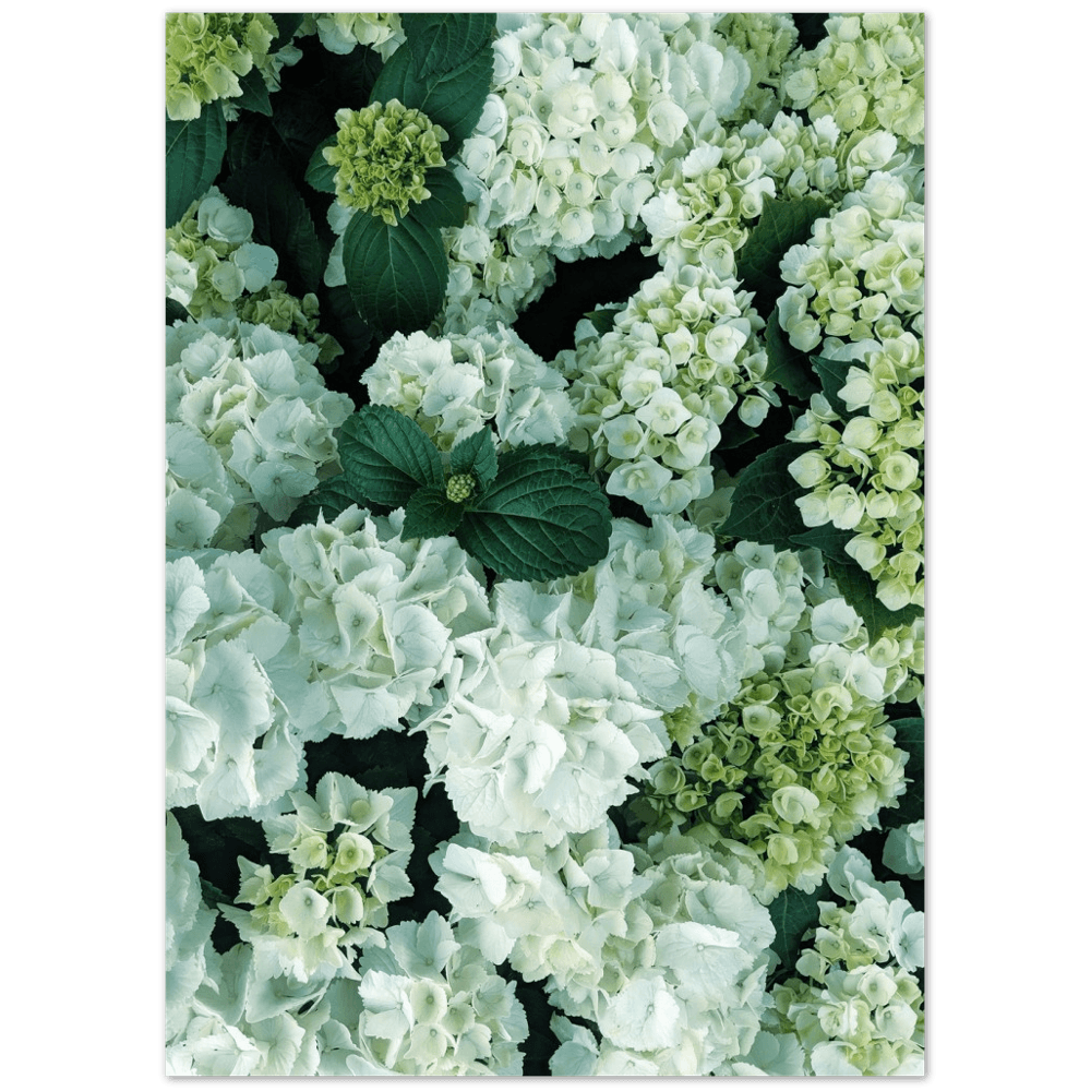 Blumen stilvoller ästhetischer minimalistischer Lebensstil - Printree.ch Bild, Blume, Brett, Farben Banner, Foto, Fotografie, frisch, frisch grün, Geschenk, Herbst Winter, Hintergrund, kreativ, Lifestyle, Magazin, Menschen, Mode, Mode Hintergrund, Mode-Blogger, Natur, Palette, Reisen, Set, speichern Planeten, Strauss, Textur, vegan, weiss ästhetisch