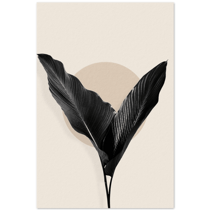 Elegantes Schwarze-Blätter-Poster - Printree.ch abstrakt, Blatt, Blätter Hintergrund, Blüte, Blütenblatt, Dekor, Dekoration, dekorativ, Design, Druck, Eleganz, Element, exotisch, gezeichnet, Grafik, Hintergrund, Illustration, Kraut, Kunst, Laub, mono, Motiv, Natur, organisch, Ornament, Textur, tropisch, weiss, Wiederholung