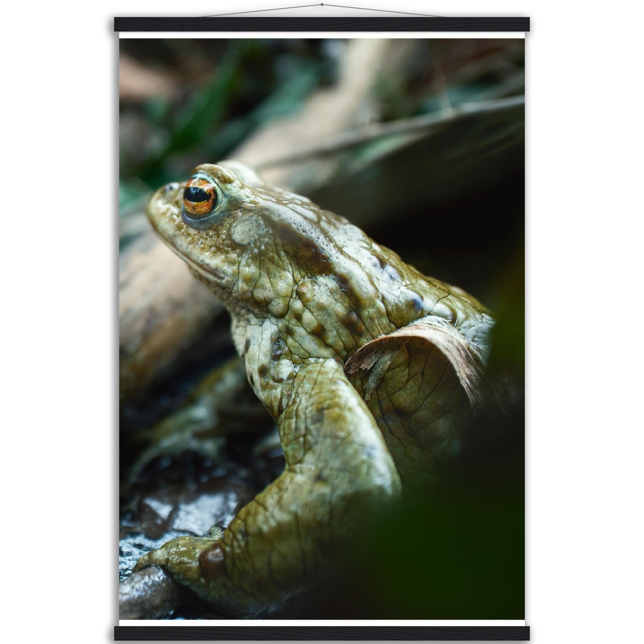 Erdkröte 3 - Printree.ch amphibisch, biologie, fauna, Foto, Fotografie, frosch, gemeinsam, kröte, makro, Martin_Reichenbach, nahaufnahme, natur, teich, tier, wild