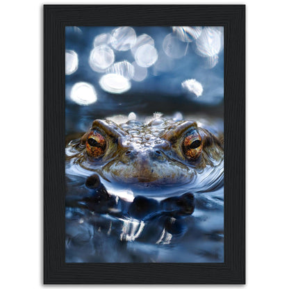 Erdkröte 6 - Printree.ch amphibien, amphibisch, arten, auge, biologie, bufo, ein, fauna, Foto, Fotografie, frosch, gemeinsam, herpetologie, kröte, makro, Martin_Reichenbach, nahaufnahme, natur, natürlich, pool, reflexion, schauen, teich, tier, umwelt, wasser, wild, wirbeltiere, zoologie