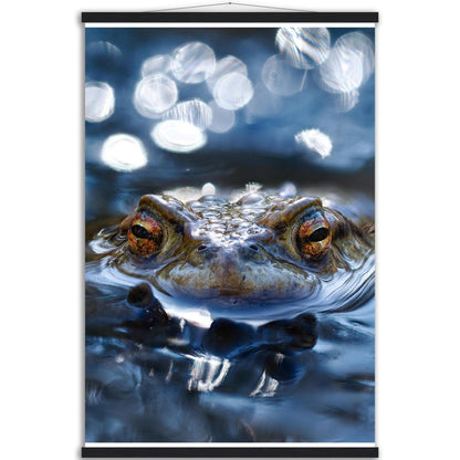 Erdkröte 6 - Printree.ch amphibien, amphibisch, arten, auge, biologie, bufo, ein, fauna, Foto, Fotografie, frosch, gemeinsam, herpetologie, kröte, makro, Martin_Reichenbach, nahaufnahme, natur, natürlich, pool, reflexion, schauen, teich, tier, umwelt, wasser, wild, wirbeltiere, zoologie