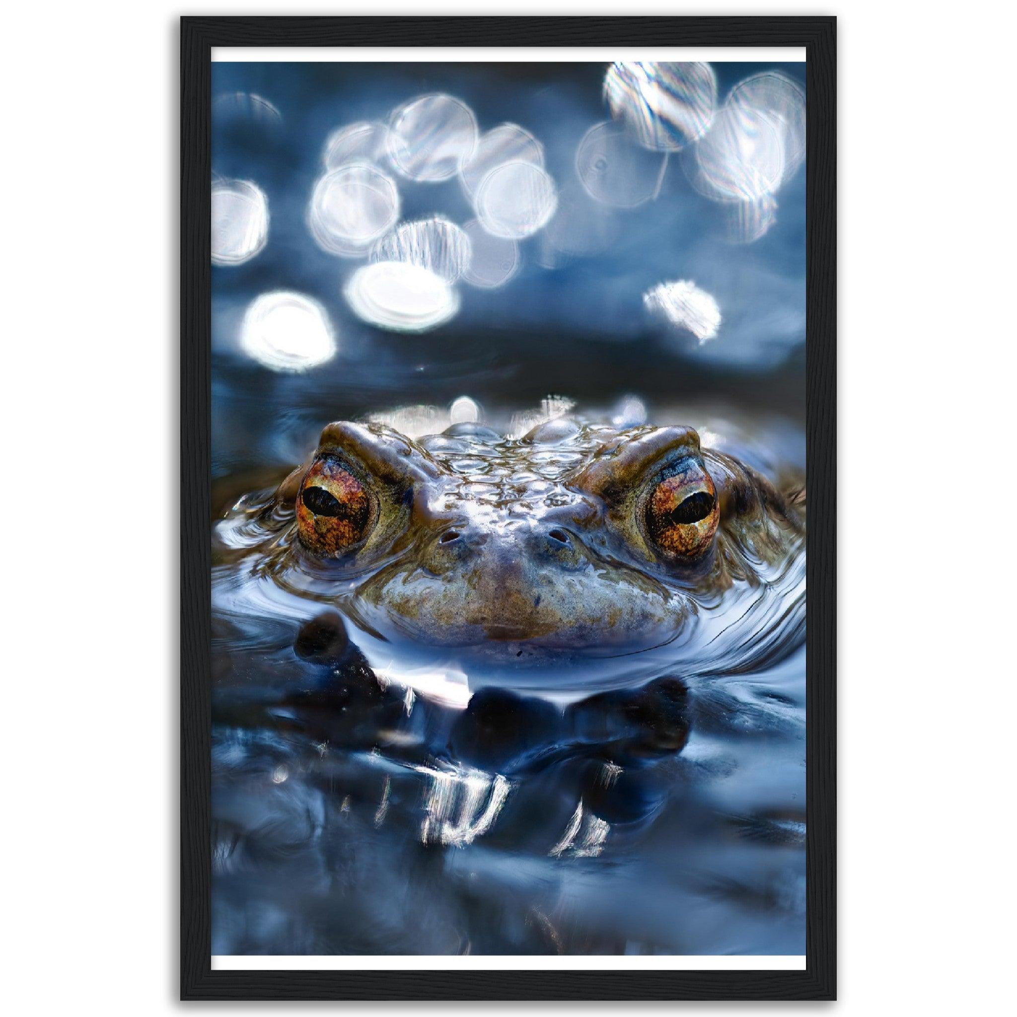 Erdkröte 6 - Printree.ch amphibien, amphibisch, arten, auge, biologie, bufo, ein, fauna, Foto, Fotografie, frosch, gemeinsam, herpetologie, kröte, makro, Martin_Reichenbach, nahaufnahme, natur, natürlich, pool, reflexion, schauen, teich, tier, umwelt, wasser, wild, wirbeltiere, zoologie