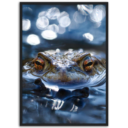 Erdkröte 6 - Printree.ch amphibien, amphibisch, arten, auge, biologie, bufo, ein, fauna, Foto, Fotografie, frosch, gemeinsam, herpetologie, kröte, makro, Martin_Reichenbach, nahaufnahme, natur, natürlich, pool, reflexion, schauen, teich, tier, umwelt, wasser, wild, wirbeltiere, zoologie