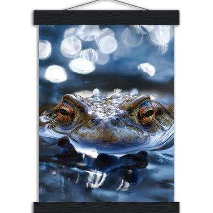 Erdkröte 6 - Printree.ch amphibien, amphibisch, arten, auge, biologie, bufo, ein, fauna, Foto, Fotografie, frosch, gemeinsam, herpetologie, kröte, makro, Martin_Reichenbach, nahaufnahme, natur, natürlich, pool, reflexion, schauen, teich, tier, umwelt, wasser, wild, wirbeltiere, zoologie