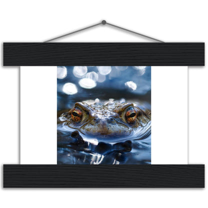 Erdkröte 6 - Printree.ch amphibien, amphibisch, arten, auge, biologie, bufo, ein, fauna, Foto, Fotografie, frosch, gemeinsam, herpetologie, kröte, makro, Martin_Reichenbach, nahaufnahme, natur, natürlich, pool, reflexion, schauen, teich, tier, umwelt, wasser, wild, wirbeltiere, zoologie