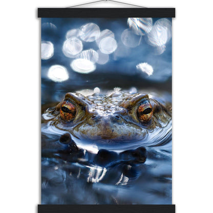 Erdkröte 6 - Printree.ch amphibien, amphibisch, arten, auge, biologie, bufo, ein, fauna, Foto, Fotografie, frosch, gemeinsam, herpetologie, kröte, makro, Martin_Reichenbach, nahaufnahme, natur, natürlich, pool, reflexion, schauen, teich, tier, umwelt, wasser, wild, wirbeltiere, zoologie