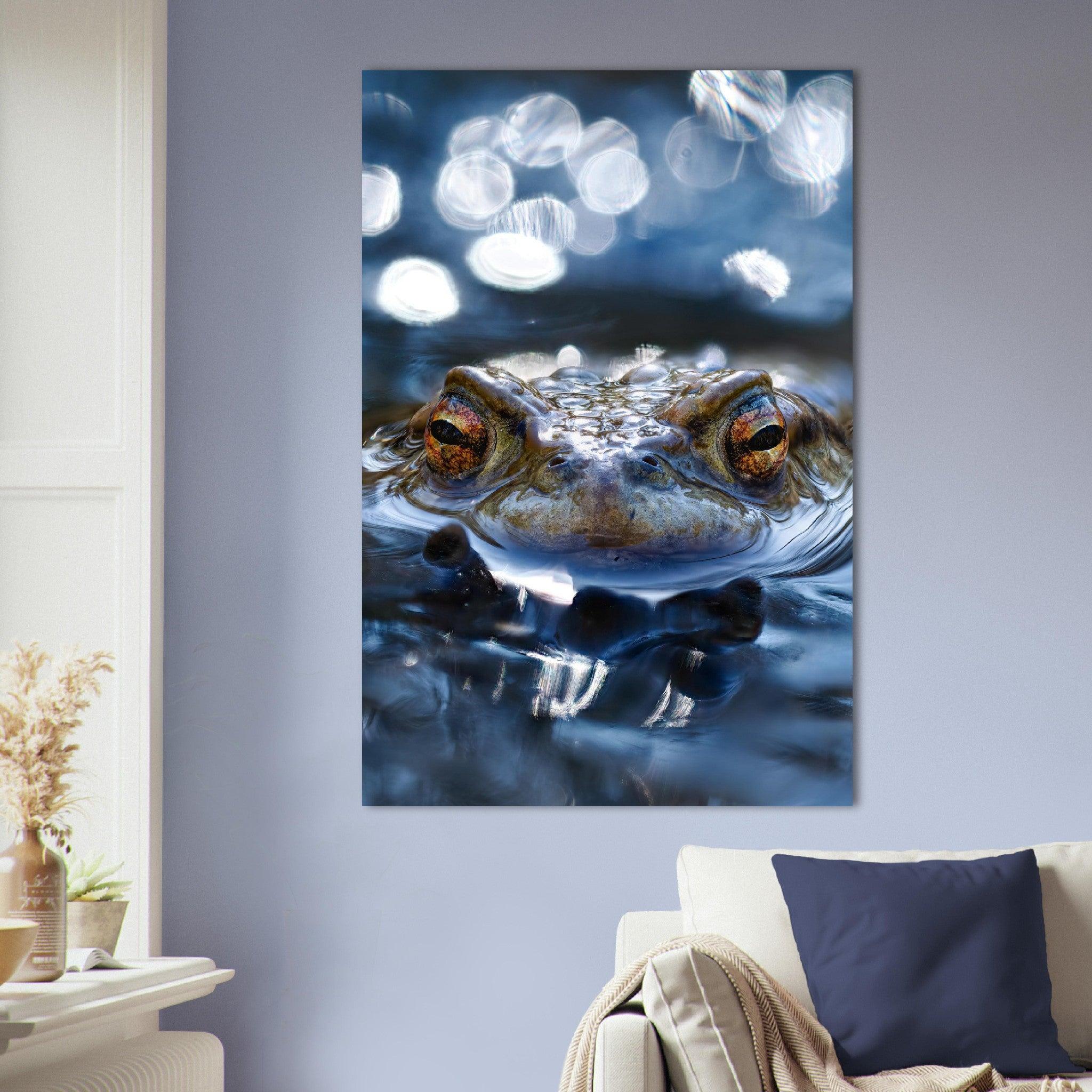 Erdkröte 6 - Printree.ch amphibien, amphibisch, arten, auge, biologie, bufo, ein, fauna, Foto, Fotografie, frosch, gemeinsam, herpetologie, kröte, makro, Martin_Reichenbach, nahaufnahme, natur, natürlich, pool, reflexion, schauen, teich, tier, umwelt, wasser, wild, wirbeltiere, zoologie