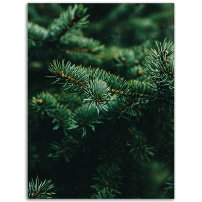 Frisches Grün - Printree.ch Foto, Fotografie, grün, Unsplash