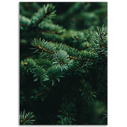 Frisches Grün - Printree.ch Foto, Fotografie, grün, Unsplash