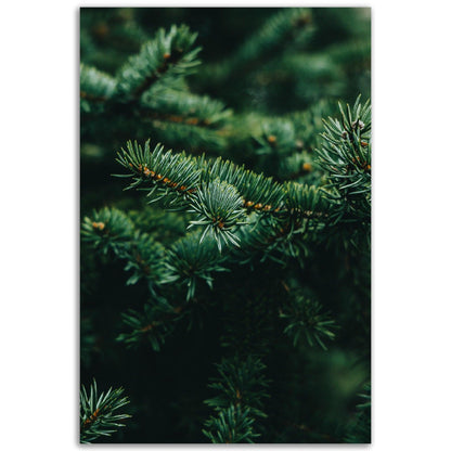 Frisches Grün - Printree.ch Foto, Fotografie, grün, Unsplash