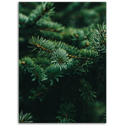 Frisches Grün - Printree.ch Foto, Fotografie, grün, Unsplash