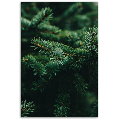 Frisches Grün - Printree.ch Foto, Fotografie, grün, Unsplash