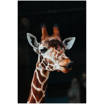 Giraffenposter: Naturzauber. - Printree.ch Foto, Fotografie, Tier, Tiere, Tierthemen, Unsplash, Wildtiere