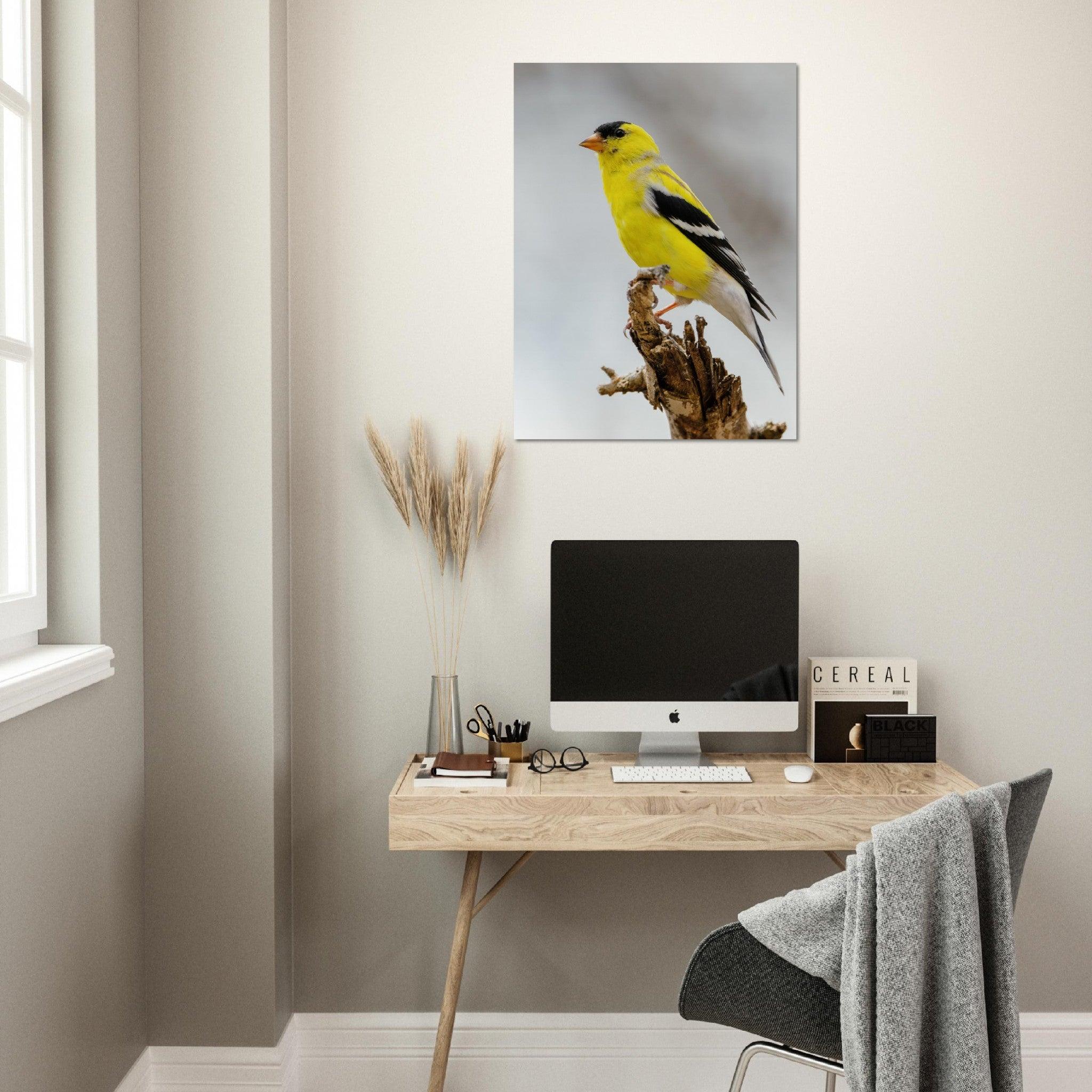 Goldene Natur Poster - Printree.ch Foto, Fotografie, gelb, Unsplash