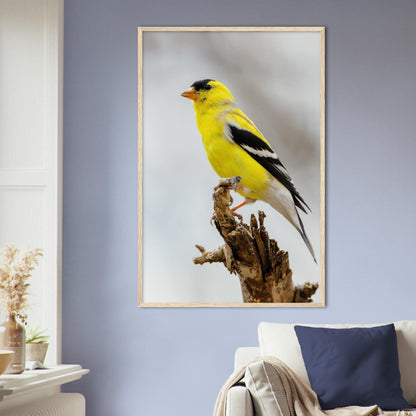 Goldene Natur Poster - Printree.ch Foto, Fotografie, gelb, Unsplash