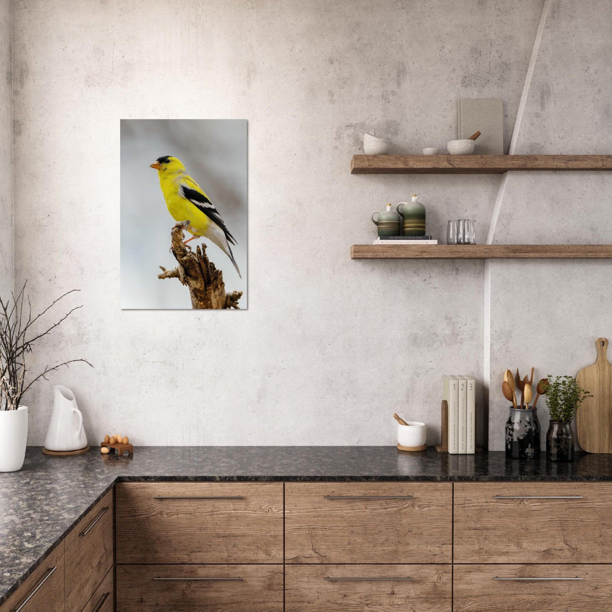 Goldene Natur Poster - Printree.ch Foto, Fotografie, gelb, Unsplash