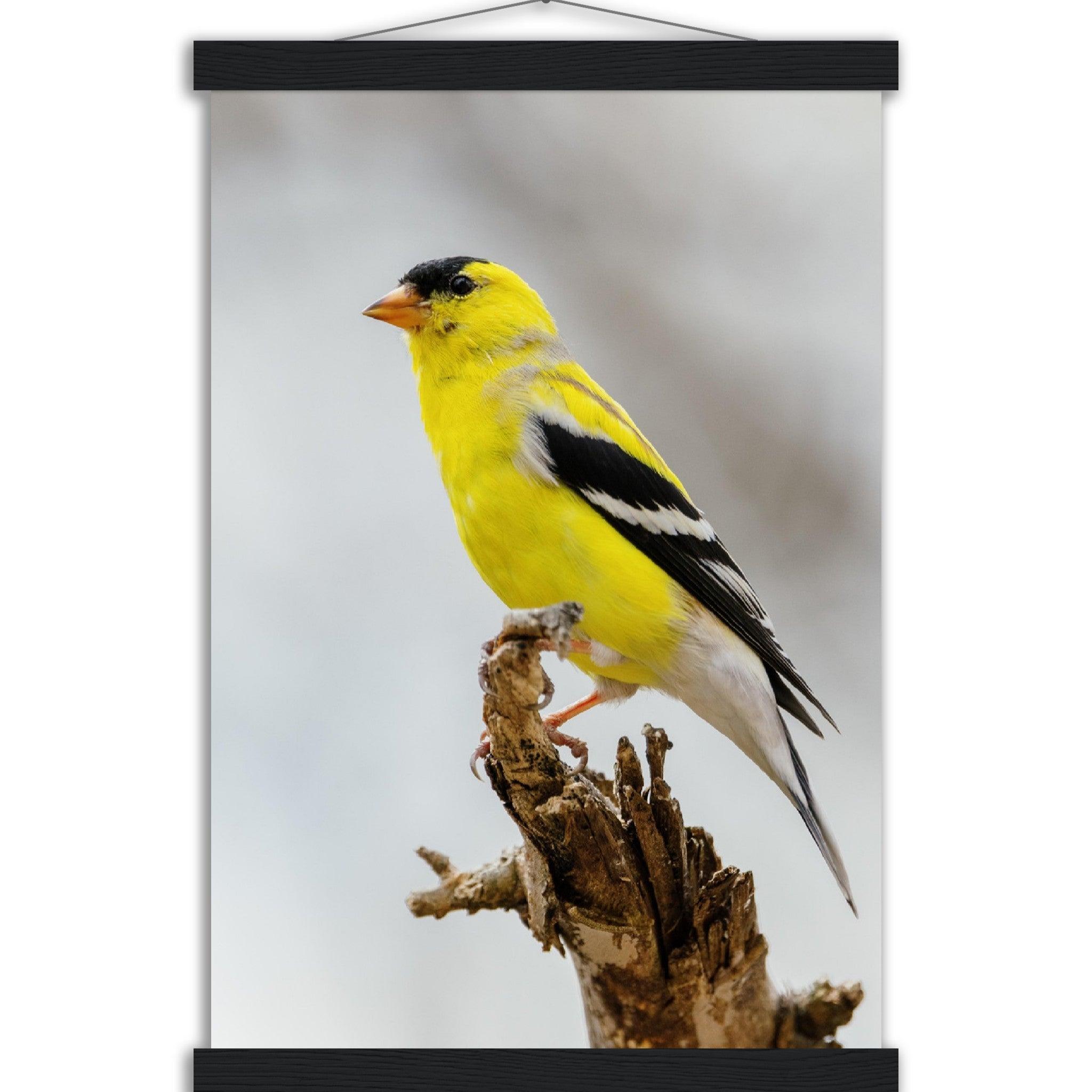 Goldene Natur Poster - Printree.ch Foto, Fotografie, gelb, Unsplash