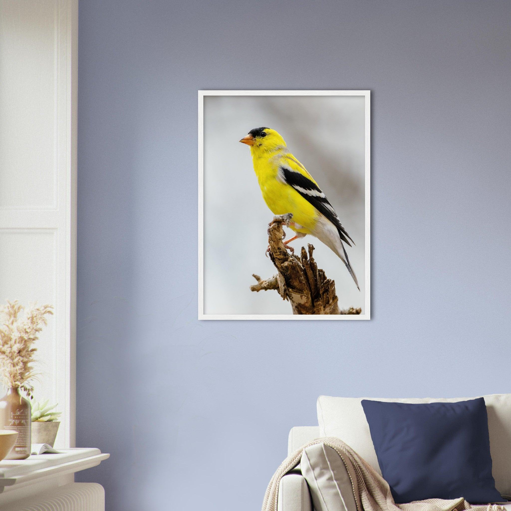 Goldene Natur Poster - Printree.ch Foto, Fotografie, gelb, Unsplash