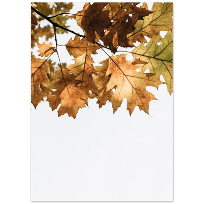 Herbst Blätter - Printree.ch Foto, Fotografie, minimalistischen Lebensstil