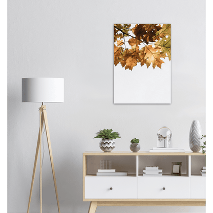 Herbst Blätter - Printree.ch Foto, Fotografie, minimalistischen Lebensstil