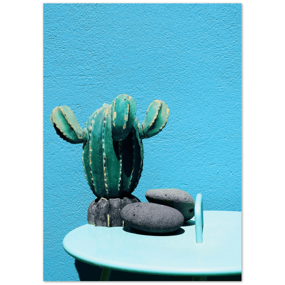 Kaktus Blau minimalistischer Lebensstil - Printree.ch blau, Botanik, bunt, Dekoration, dekorativ, drinnen, eingetopft, Farbe, Foto, Fotografie, frisch, Garten, Hintergrund, Interieur, Kaktus, Kladodien, klein, Natur, natürlich, Objekt, Pflanze, stehend, Studio, sukkulent, Topf, tropisch, wachsend, Wachstum, wild, Wüste, Zimmerpflanze