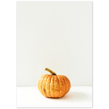 Kürbis - Printree.ch dekorativ, einzeln, ernte, Foto, Fotografie, frisch, frucht, gelb, gemüse, gesund, halloween, Herbst, hintergrund, isoliert, kabocha, kürbis, kürbisse, landwirtschaft, lebensmittel, nahaufnahme, natur, natürlich, orange, pflanze, reif, roh, saison, saisonal, weiss