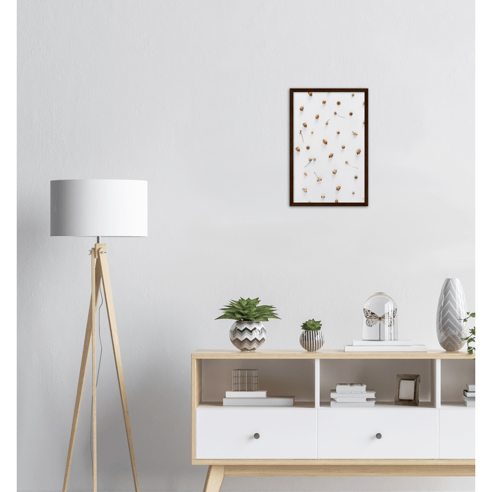 Nüssli - Printree.ch Foto, Fotografie, minimalistischen Lebensstil, nuss