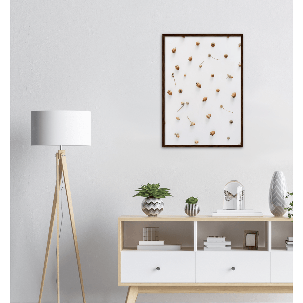 Nüssli - Printree.ch Foto, Fotografie, minimalistischen Lebensstil, nuss