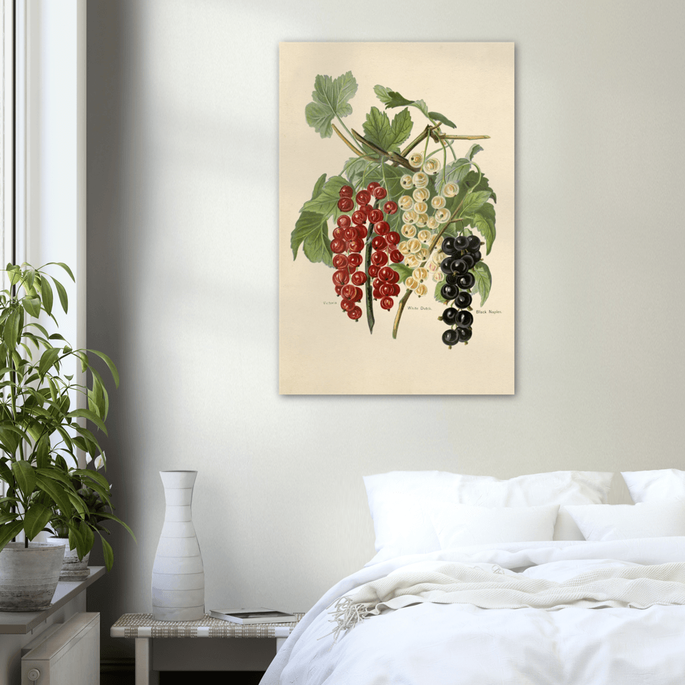 Premium Trauben-Poster: Hochwertiger Kunstdruck auf mattem Papier - Printree.ch Blatt, Clip Art, Dekoration, Design, Ernährung, frisch, Garten, Geschmack, Gesundheit, Gravur, Grünzeug, Illustration, isoliert, Kunst, Lebensmittel, lecker, Limonade, Natur, Obst, organisch, Pflanze, Retro, saftig, schmackhaft, Sommer, vegetarisch, Vintage, Vitamin, Zeichnung, Zweig