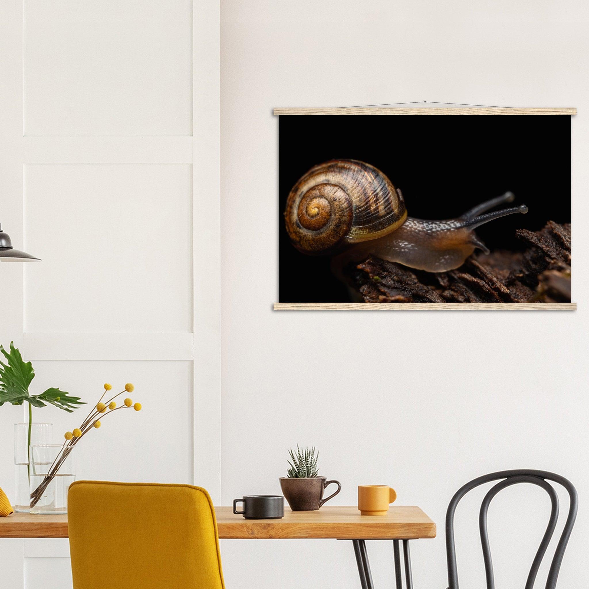 Schnecke - Printree.ch Foto, Fotografie, insekt, Macro, Makro, Martin_Reichenbach, Poster